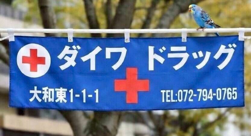 ダイワドラッグ